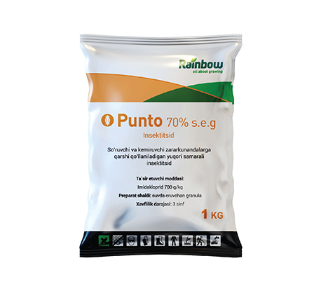 Punto 70% с.э.г.