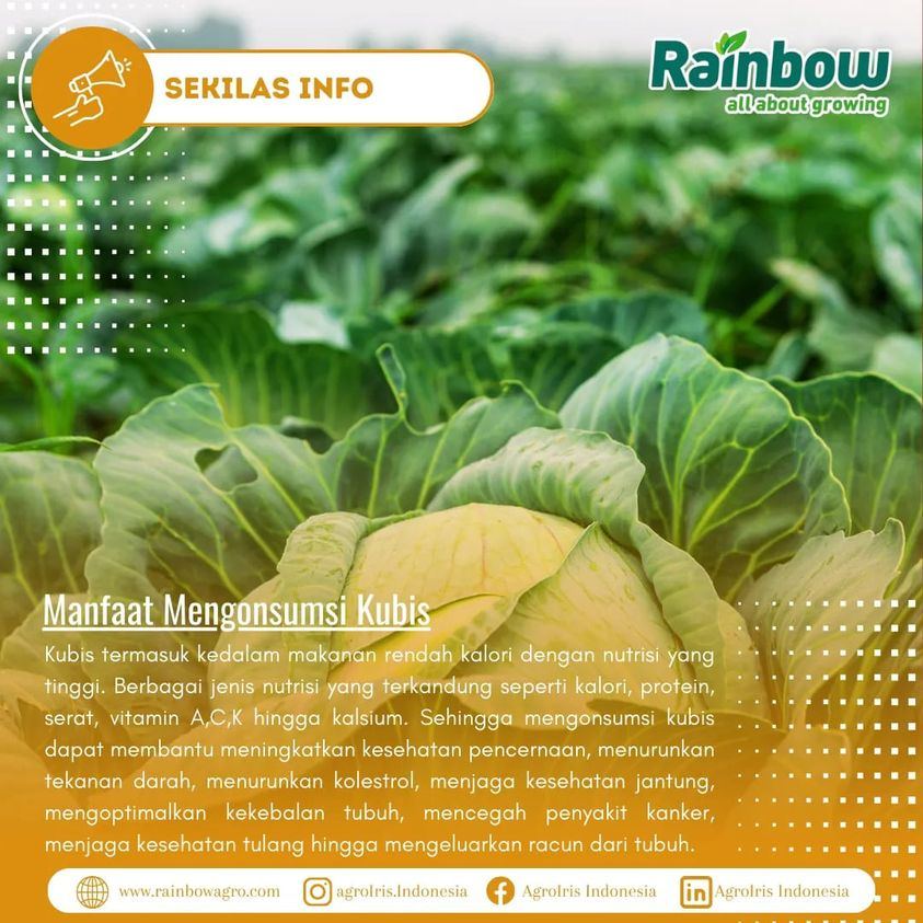 Masterole 240 SC bikin Ulat Ampun Ampun